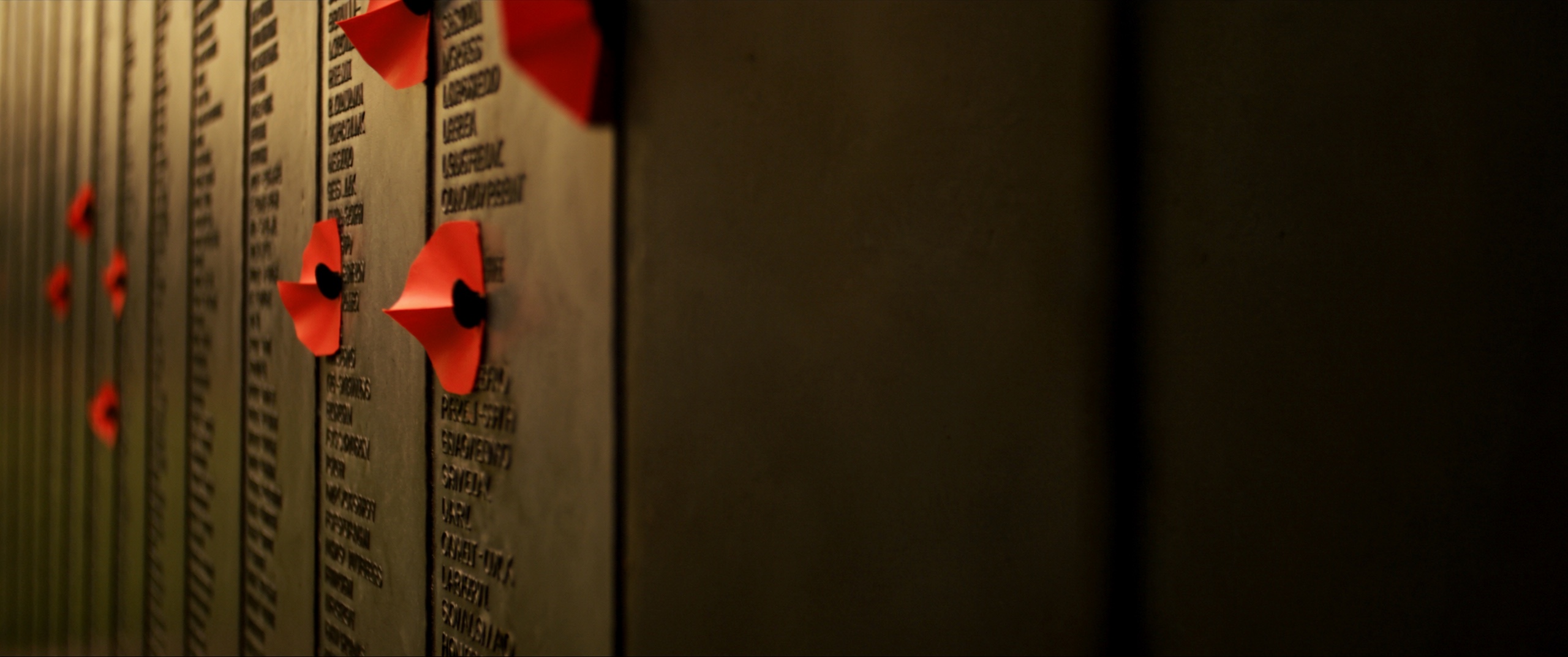 Poppies tucked beside names on the Roll of Honour